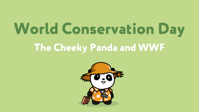 Celebrating World Conservation Day: The Cheeky Panda and WWF