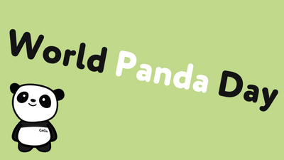 World Panda Day