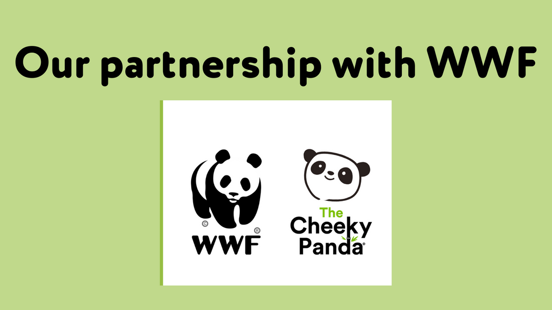 Our partnership with WWF