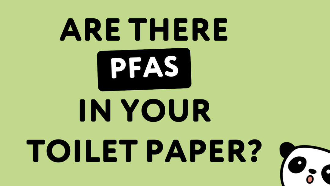 Are There PFAS in Your Toilet Paper? What Eco-Friendly Families Need to Know