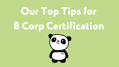 Our Top Tips for B Corp Certification