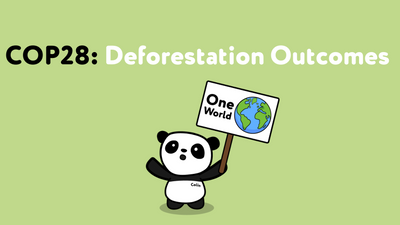 COP28: Deforestation Outcomes