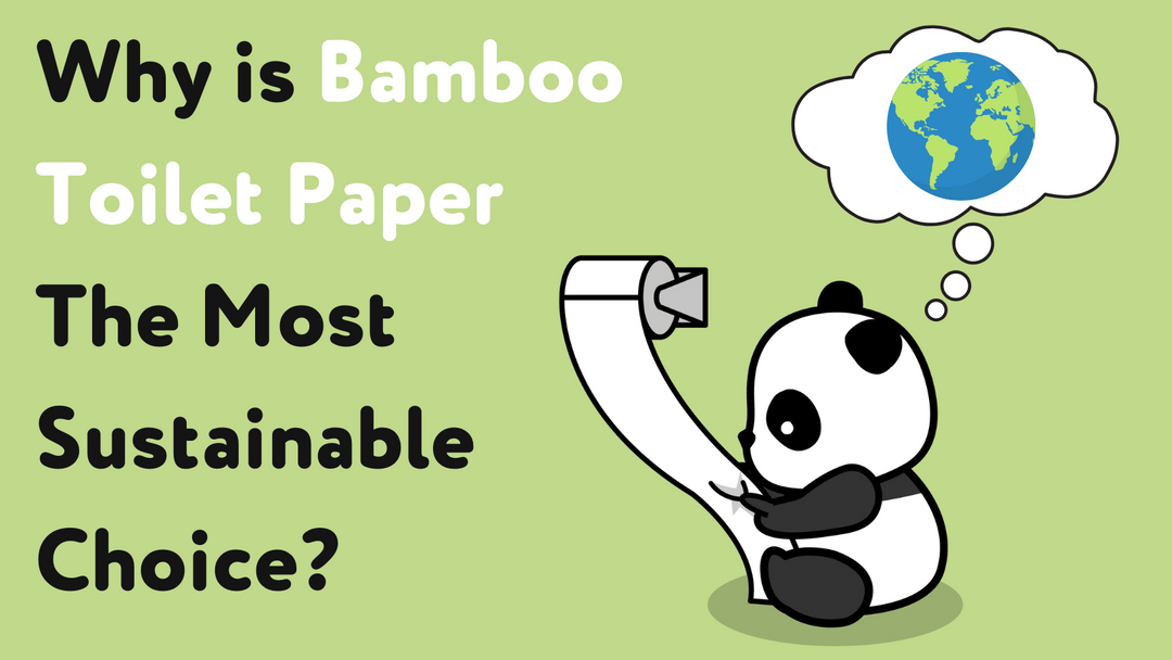 Why is Bamboo Toilet Paper the Most Sustainable Choice?