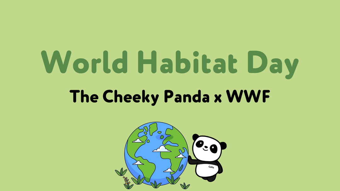 World Habitat Day: The Cheeky Panda and WWF