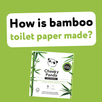 How our bamboo toilet paper is made