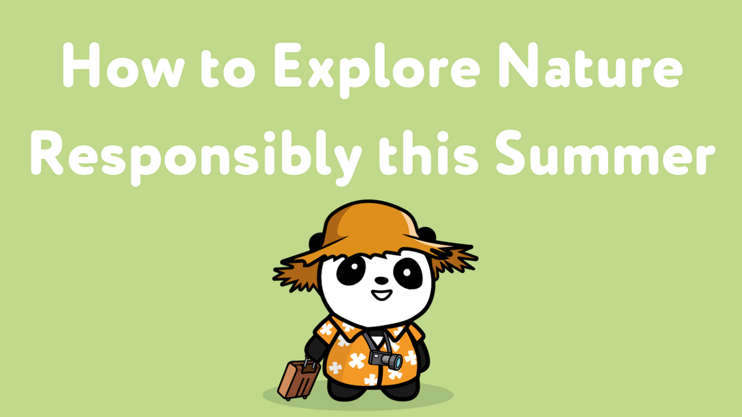 How to Explore Nature Responsibly this Summer