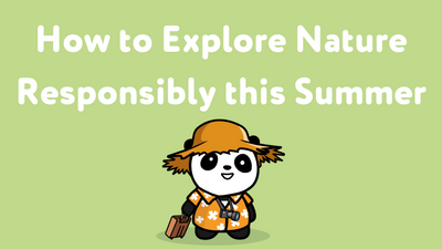 How to Explore Nature Responsibly this Summer
