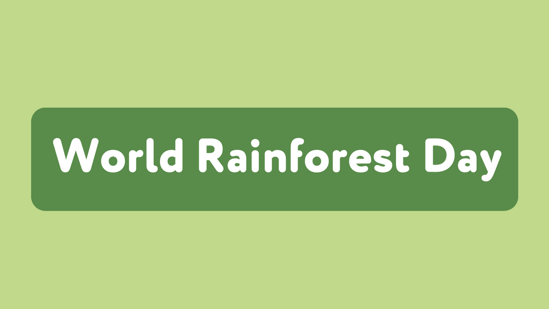 World Rainforest Day