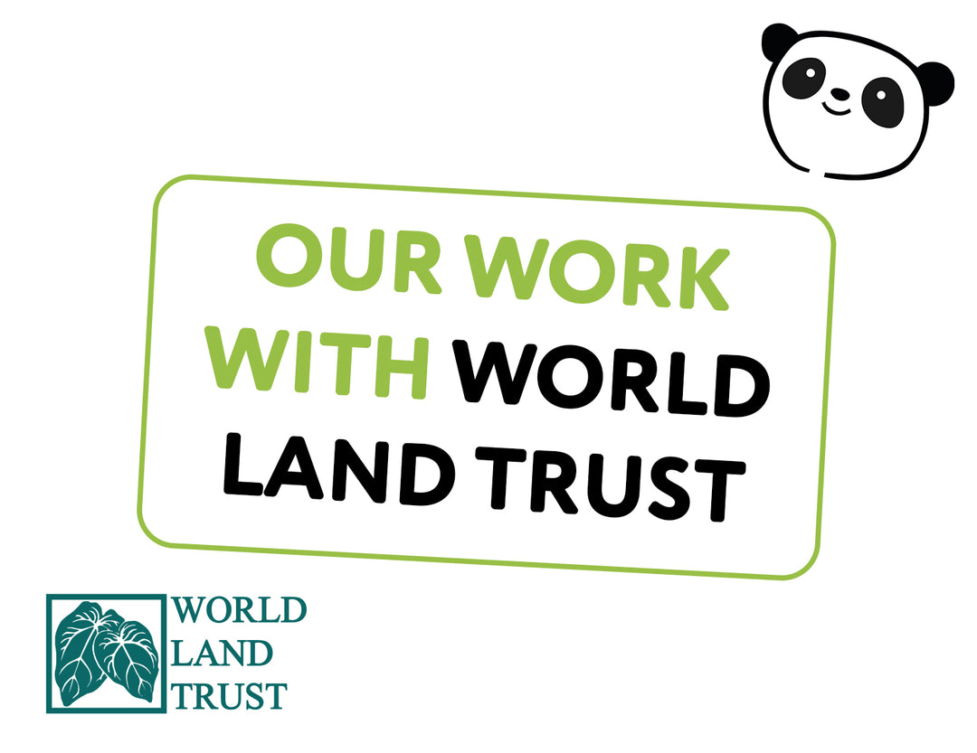 Our work with the World Land Trust