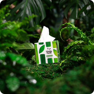 Bamboo Tissues