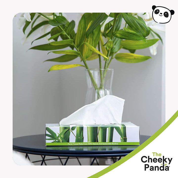 Flat Bamboo Boxes of Tissues | 12 Boxes - Cheeky Panda