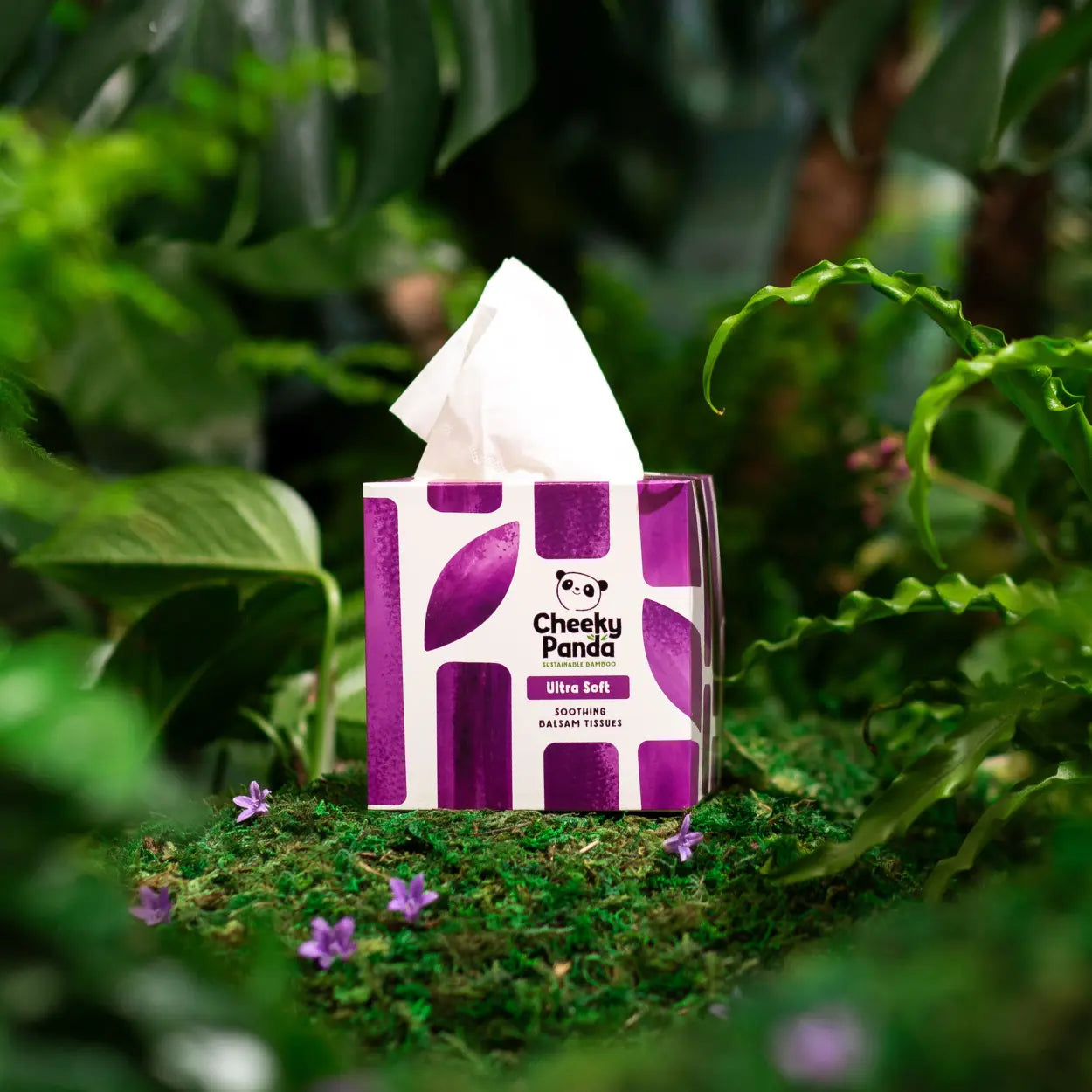 Box of Cheeky Panda tissues in a natural setting with green leaves and flowers.