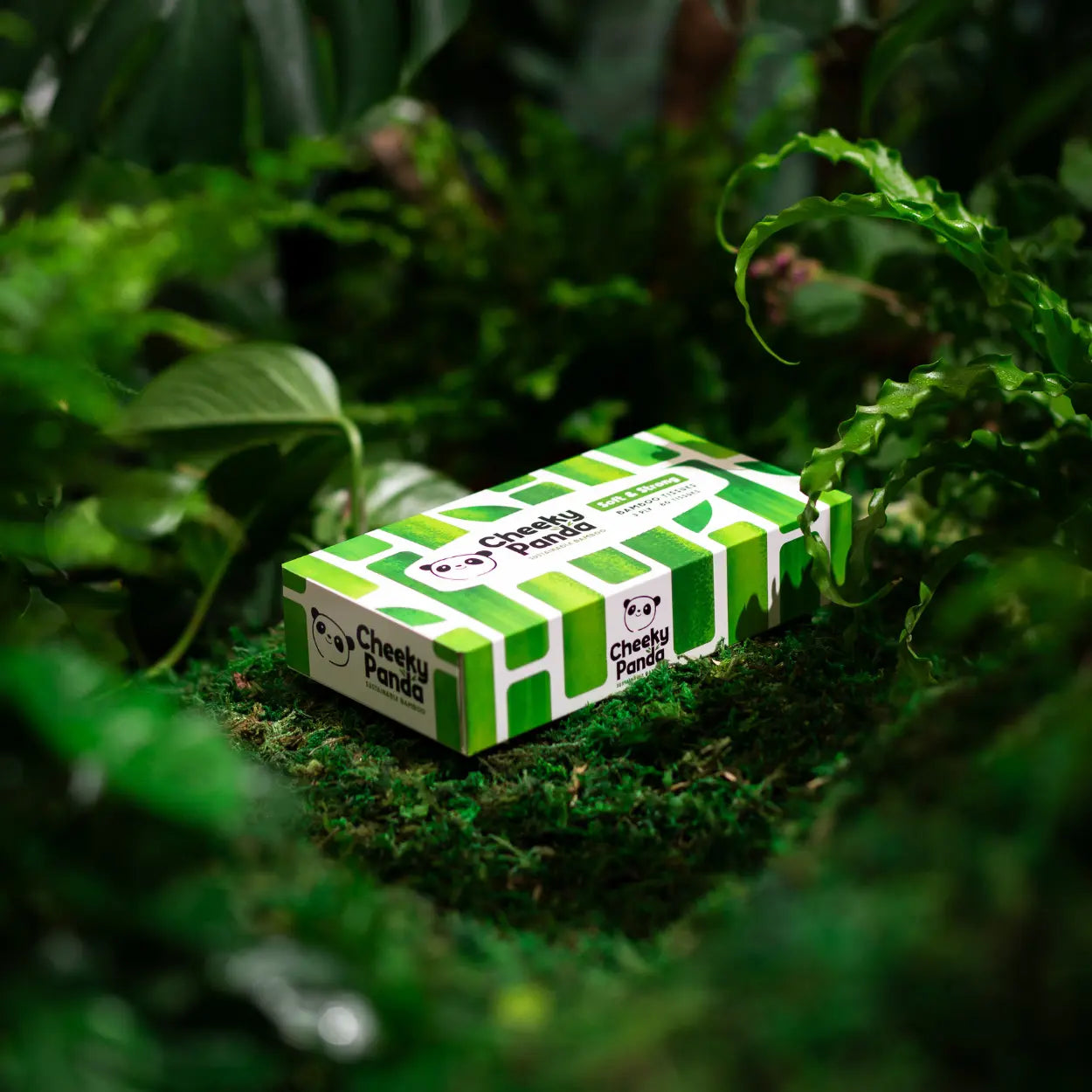 Green and white Cheeky Panda tissue box with branding on a green leafy background