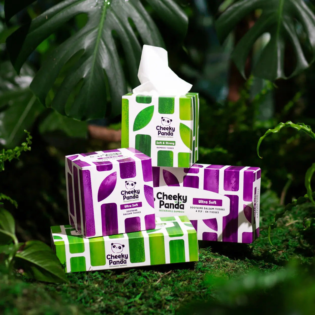 Cheeky Panda tissue boxes with green and purple designs on a leafy background
