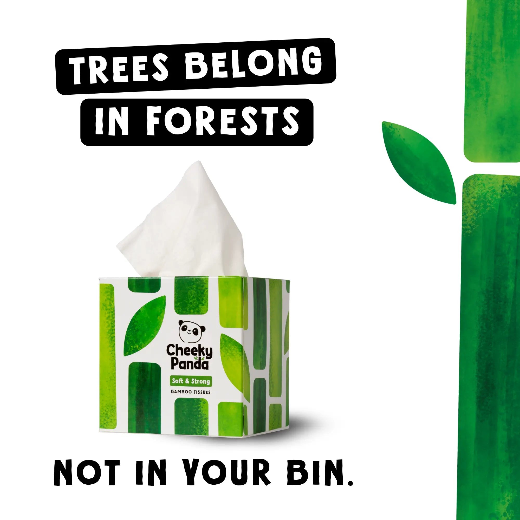Cheeky Panda cube tissue box with text: 'Trees belong in forests, not in your bin'.