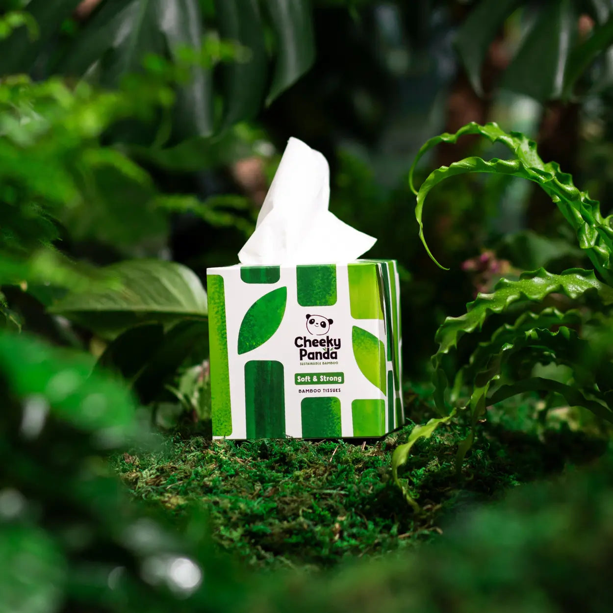 Cheeky Panda tissue box with a white tissue on top, placed among green leaves.