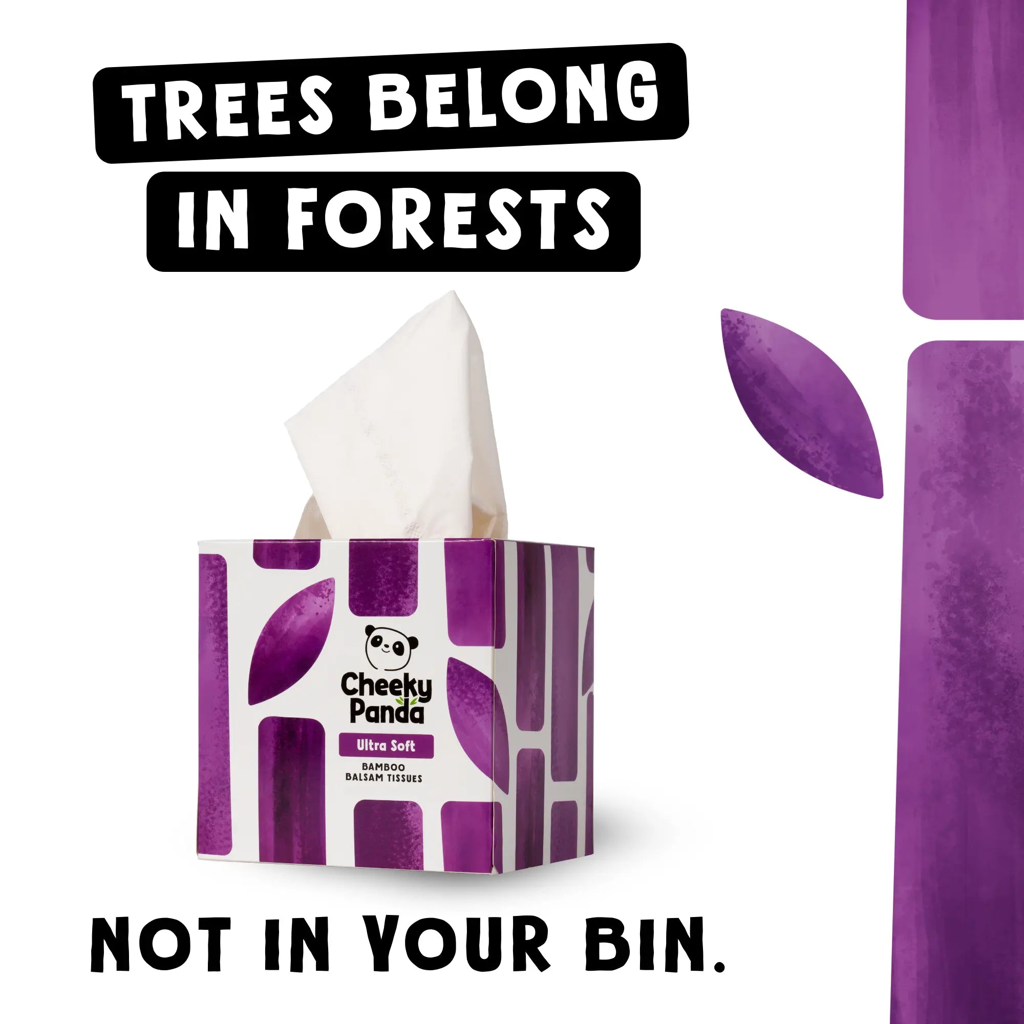 A Cheeky Panda tissue box with text 'Trees belong in forests, not in your bin'.
