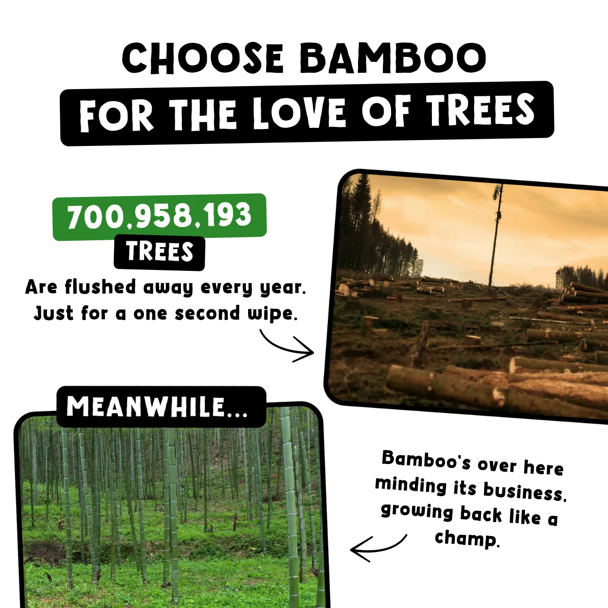 Comparison of tree deforestation and bamboo growth with text 'Choose Bamboo for the Love of Trees'.