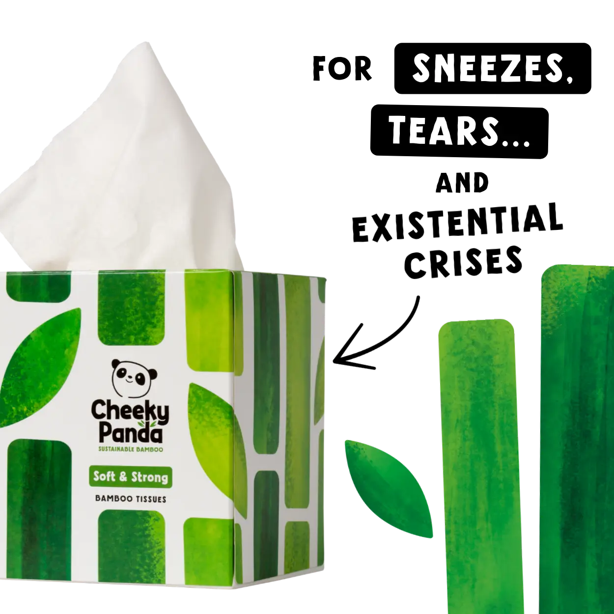 Box of Cheeky Panda bamboo tissues with green leaves on a white background