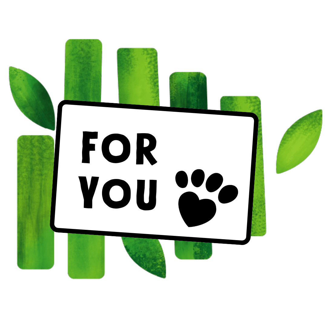 Gift card with 'FOR YOU' text and paw print on a green leafy background