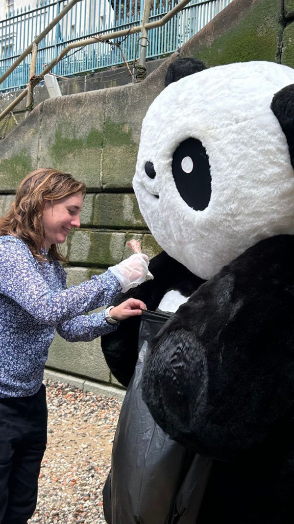 https://www.instagram.com/cheekypandahq