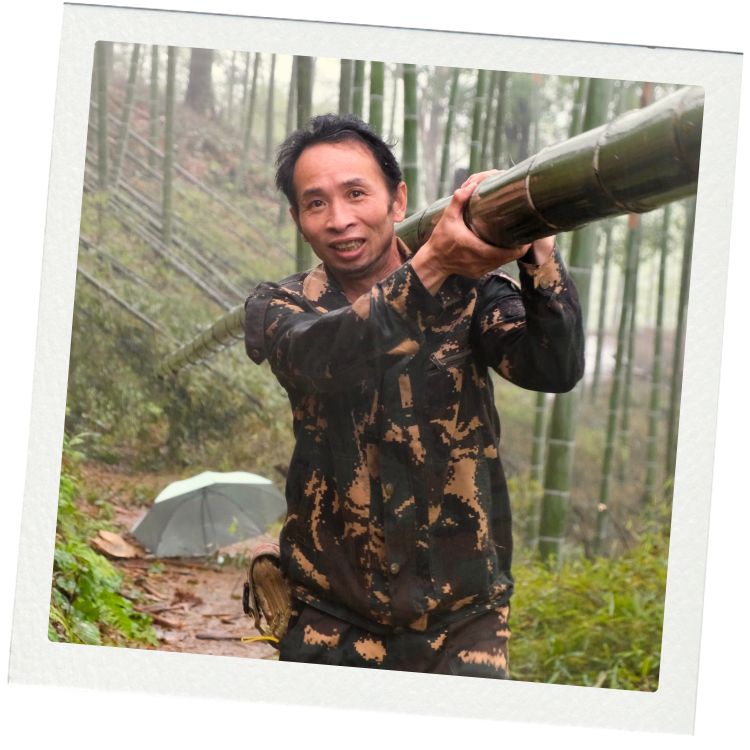 Bamboo forester