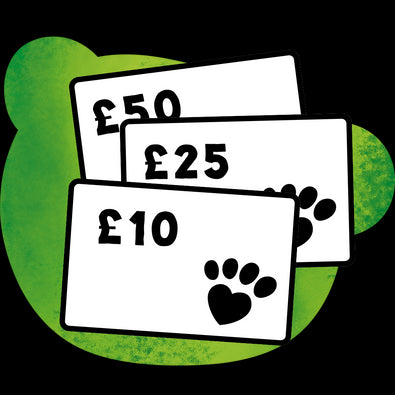 Three gift cards with amounts £50, £25, and £10 on a green background with paw prints.