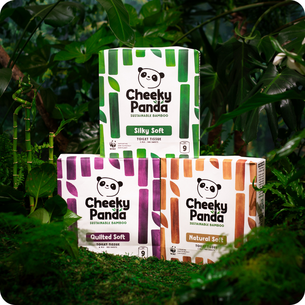  Cheeky Panda toilet paper packaging in front of green foliage 