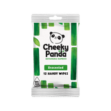 Biodegradable Handy Wipes