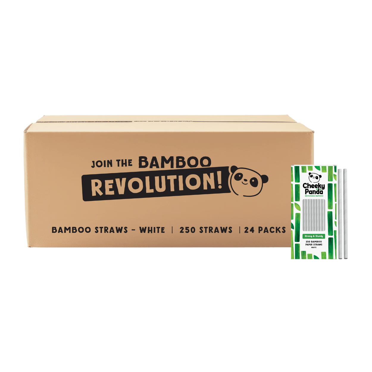 Cardboard box of Cheeky Panda bamboo straws with a small pack on a black background