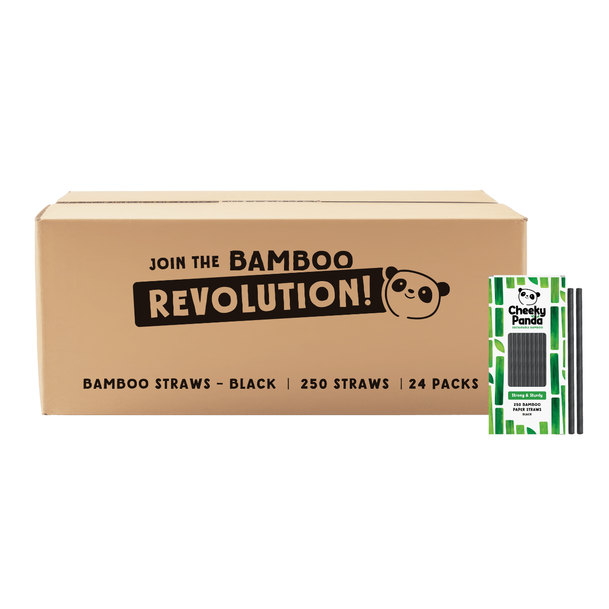 Cardboard box of Cheeky Panda straws with a smaller pack on the side.