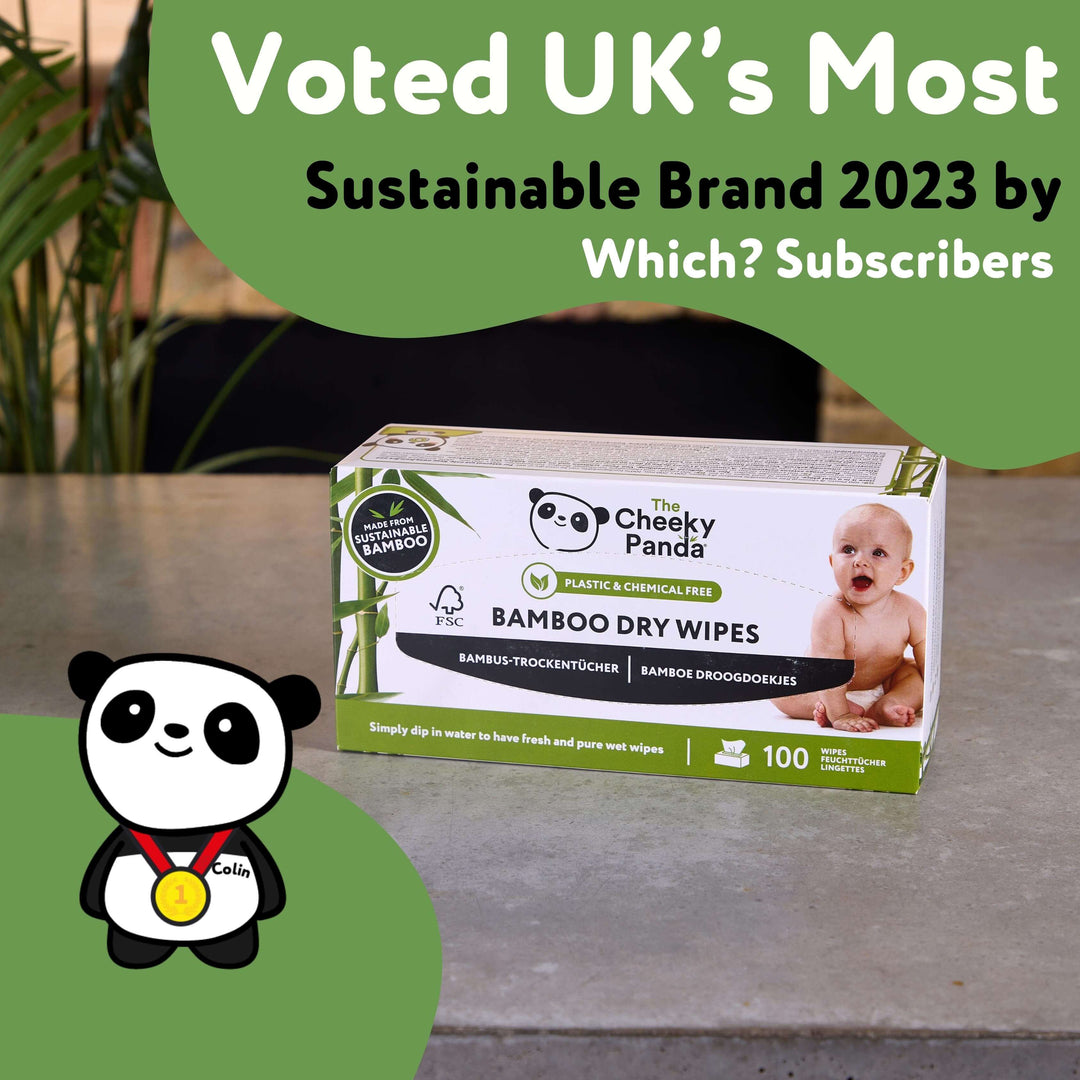 Biodegradable Dry Wipes (6 Boxes)