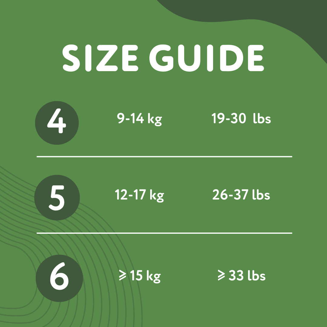 A size guide for nappy pants, detailing weights for sizes 4, 5, and 6.