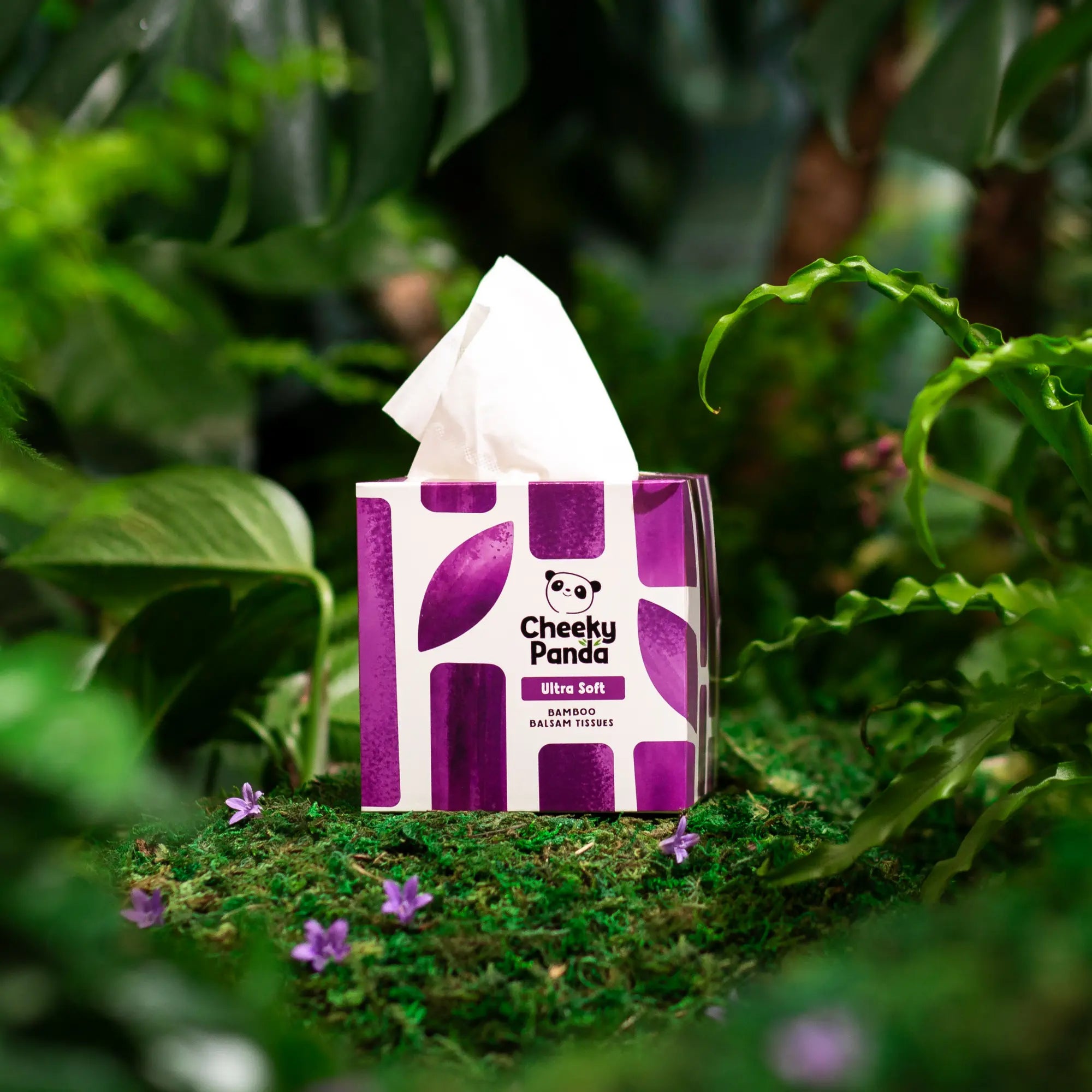 A Cheeky Panda Ultra Soft Bamboo Balm Tissues box sitting on moss with green plants in the background.