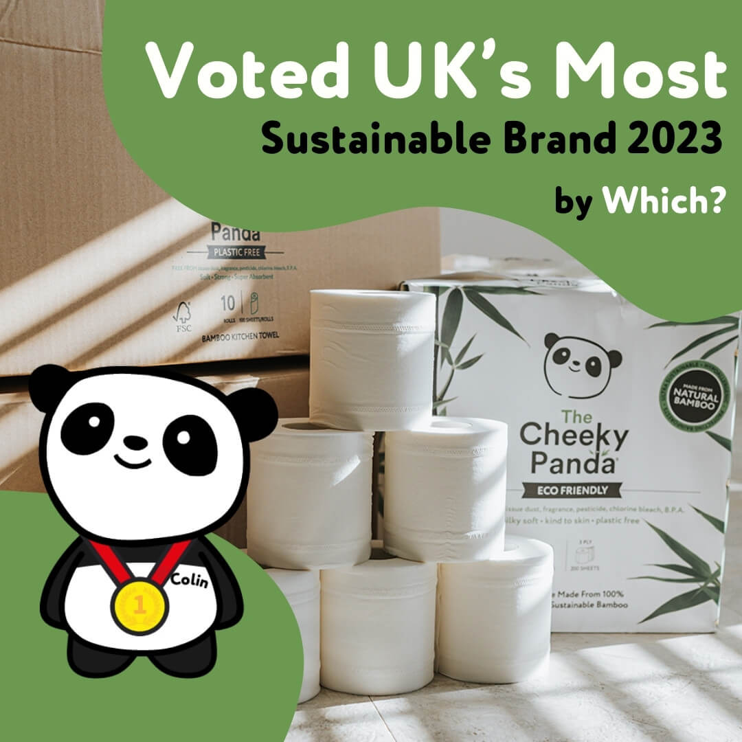 Z Fold Flushable Hand Towel: Biodegradable Towels That Work - The Cheeky Panda