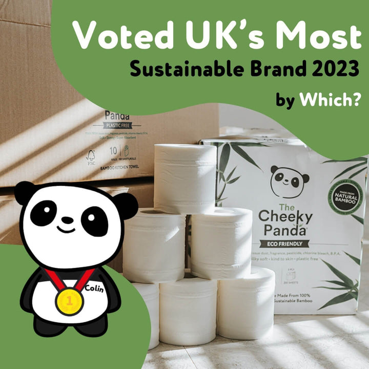 Z Fold Flushable Hand Towel: Biodegradable Towels That Work - The Cheeky Panda