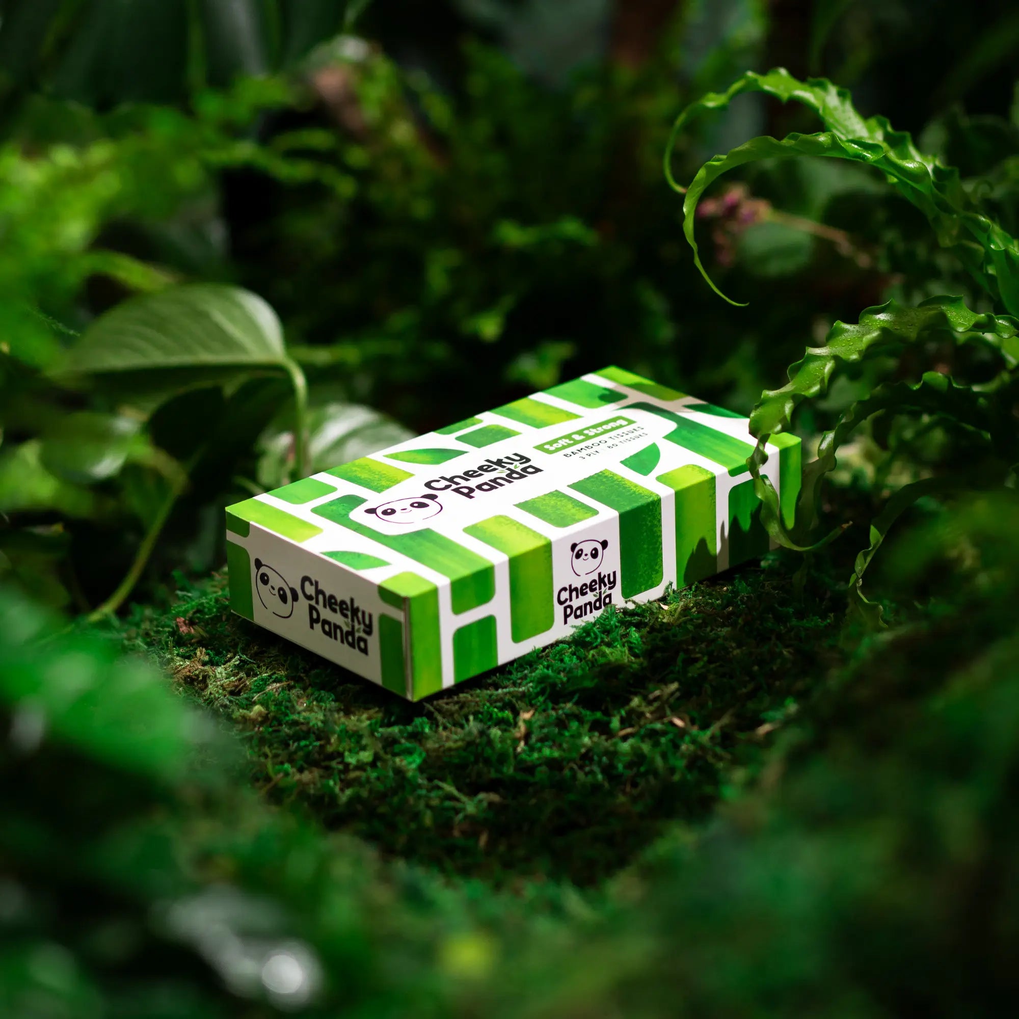 Cheeky Panda tissue box nestled amongst lush green foliage.