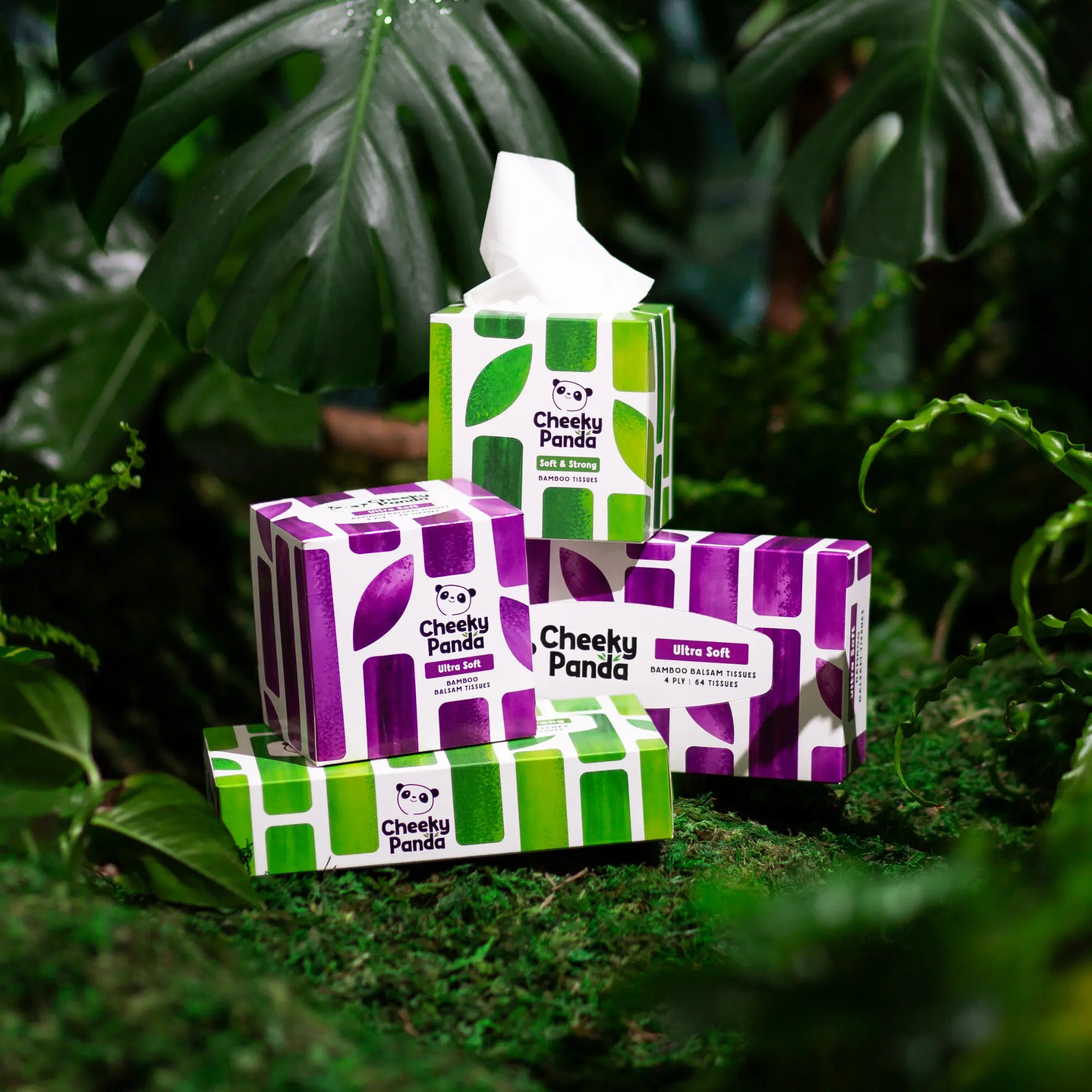 Assortment of Cheeky Panda tissue boxes in green and purple, amidst lush foliage.