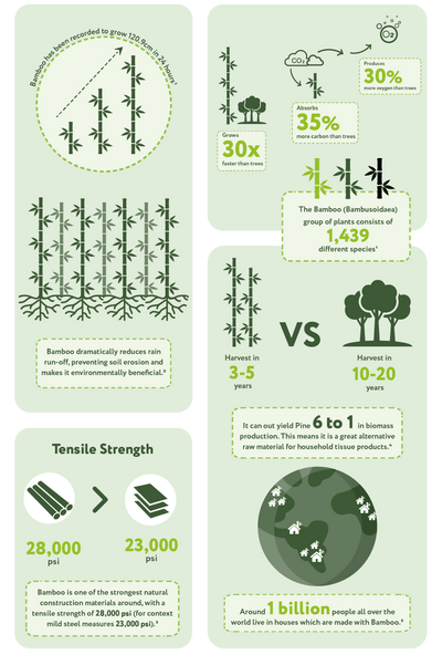  Bamboo dramatically reduces rain run-off, preventing soil erosion and makes it environmentally beneficial. Bamboo is one of the strongest natural tensile strength of 28,000 psi (for context construction materials around, with a mild steel measures 23,000