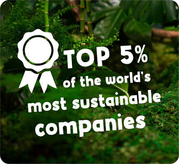  Green background with 'Top 5% of the world's most sustainable companies' text and award icon. 