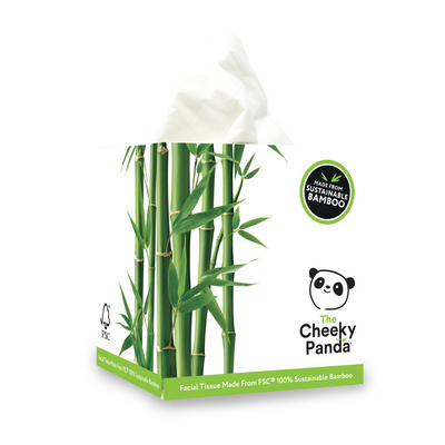 Bamboo Boxes of Tissues | 12 Boxes - The Cheeky Panda