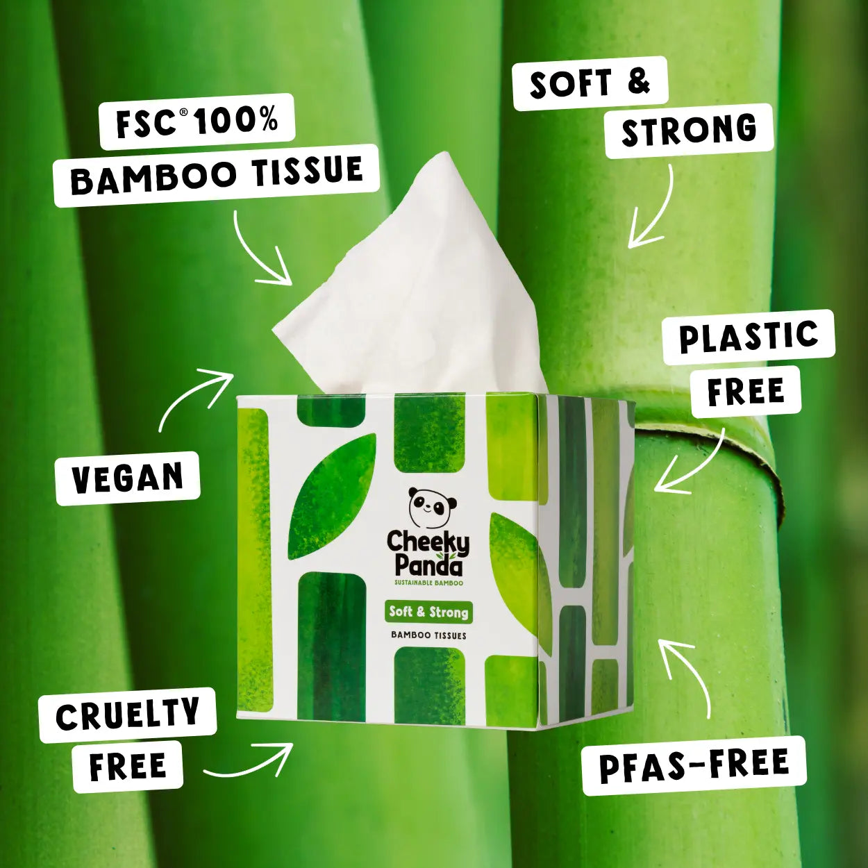 Cheeky Panda bamboo tissues and their sustainable, ethical features.