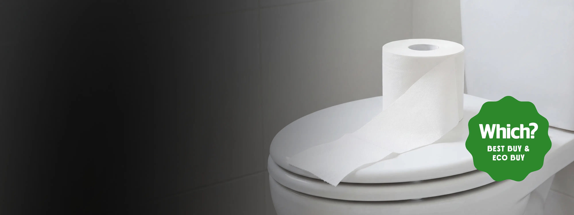 TOILET PAPER DISAPPEARING?