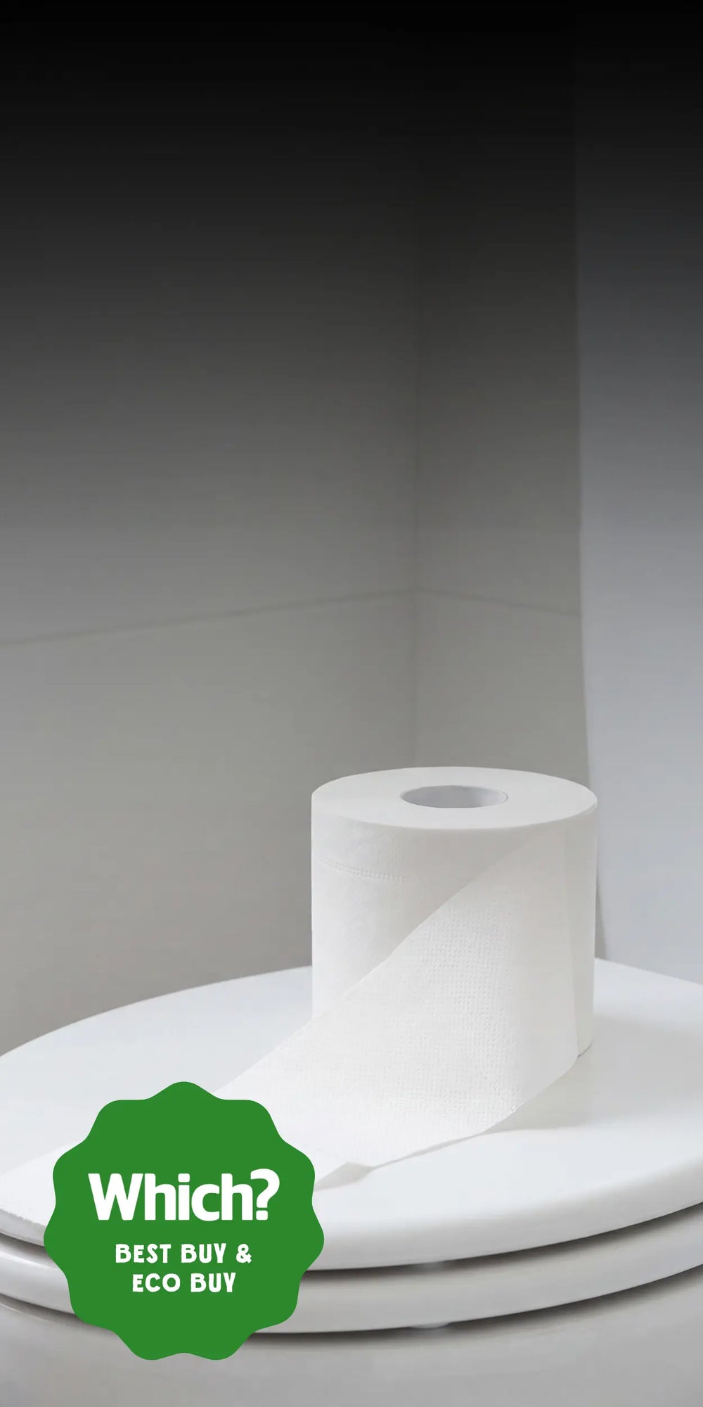 TOILET PAPER DISAPPEARING?