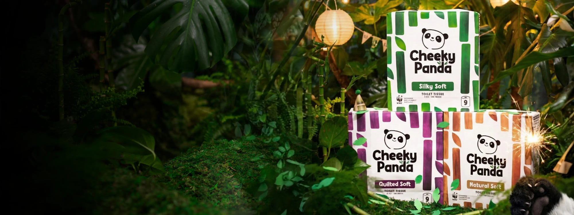 LET'S ROLL INTO 2026!