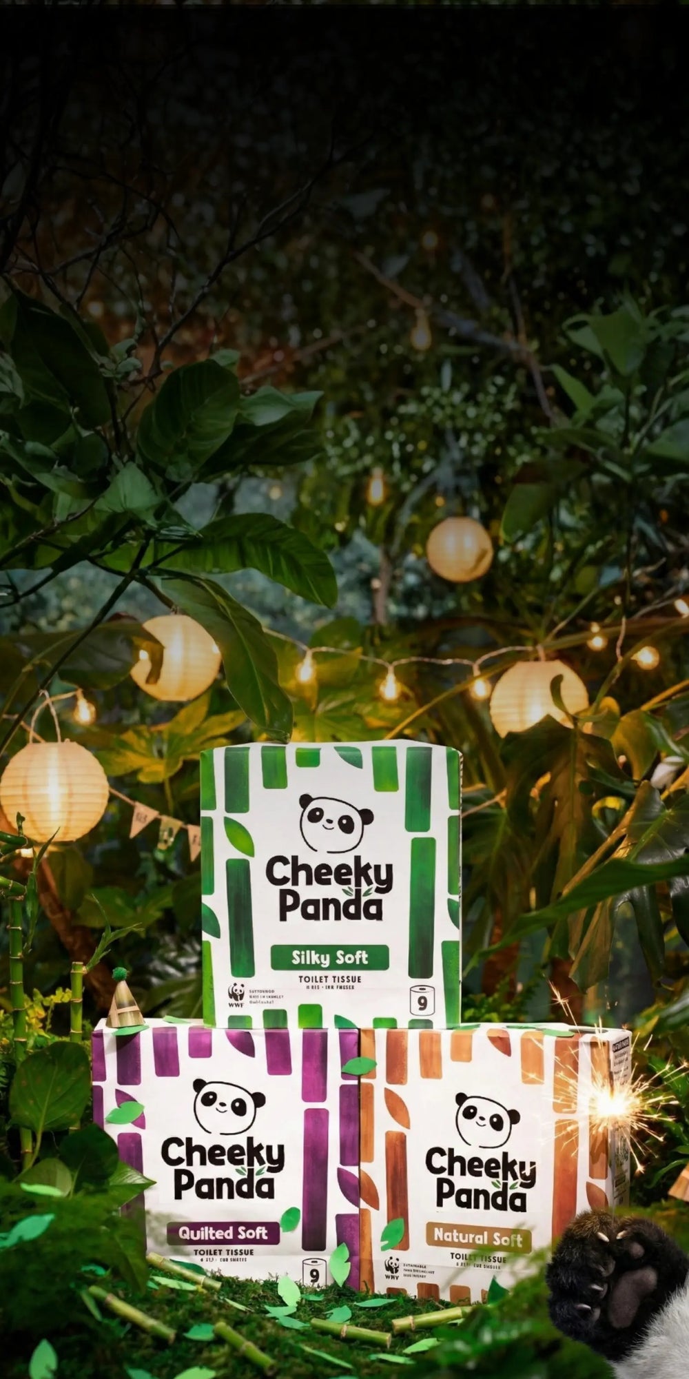 LET'S ROLL INTO 2026!