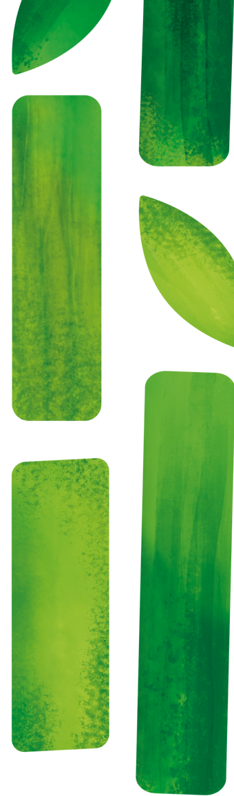 Join the bamboo Revolution!