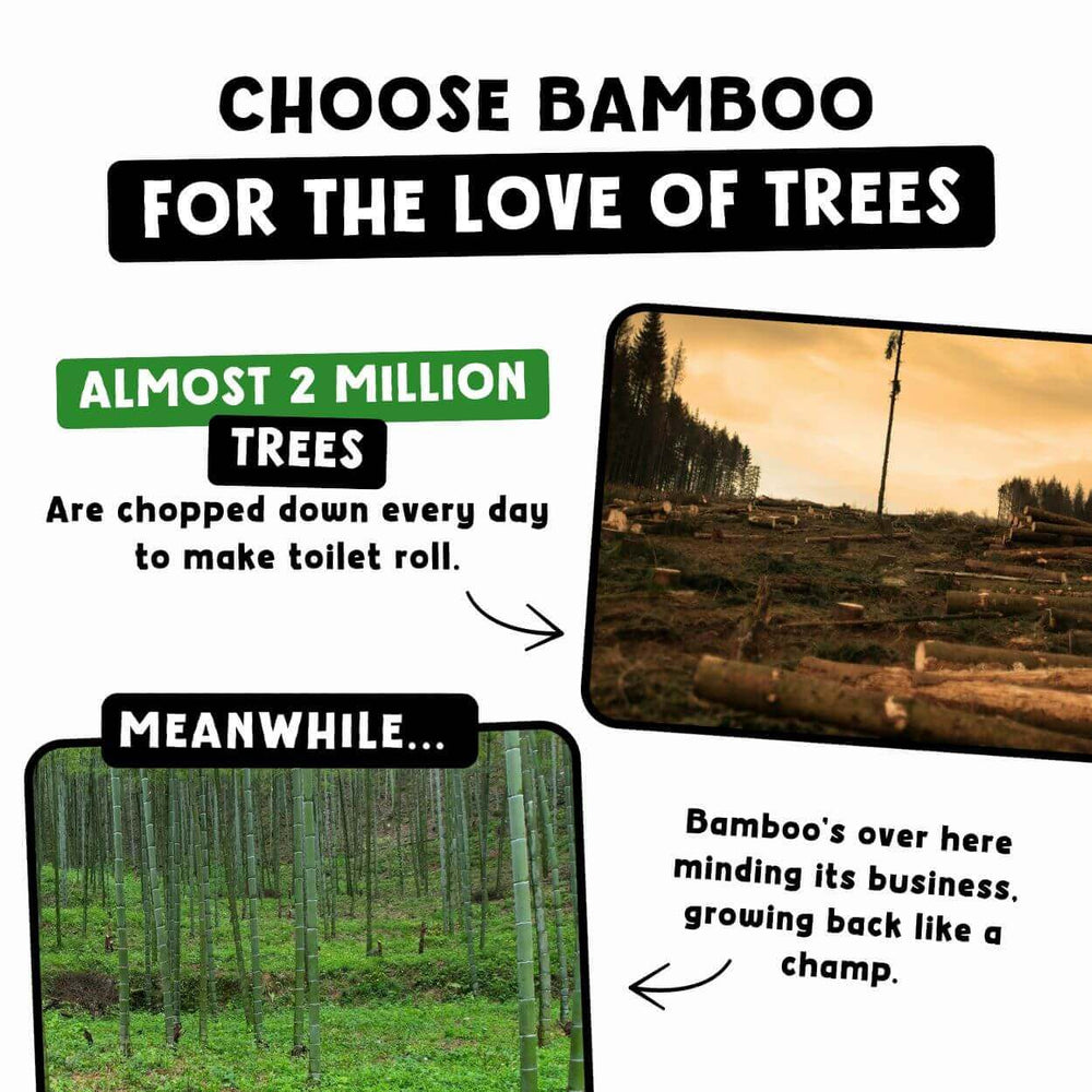 Comparison between tree deforestation and bamboo growth with text 'Choose Bamboo for the Love of Trees'.