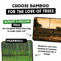 Comparison between tree deforestation and bamboo growth with text 'Choose Bamboo for the Love of Trees'.