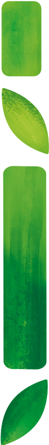 WHY BAMBOO?